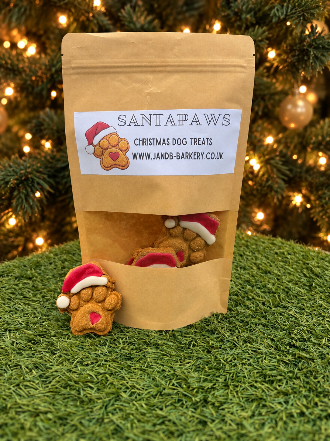 Christmas Collection | Santa Paws Iced Treats