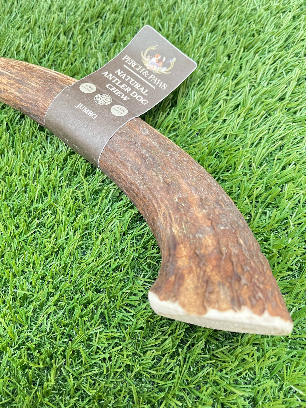 Jumbo Antler (Split or Whole)