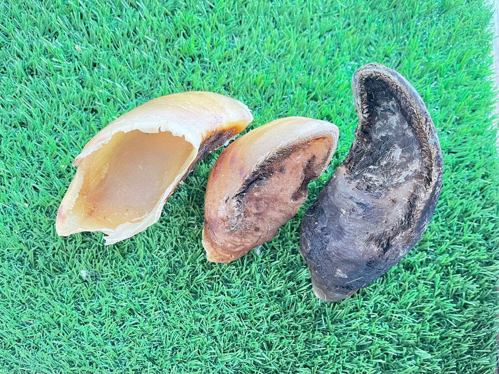 Beef Hooves Pack of 4