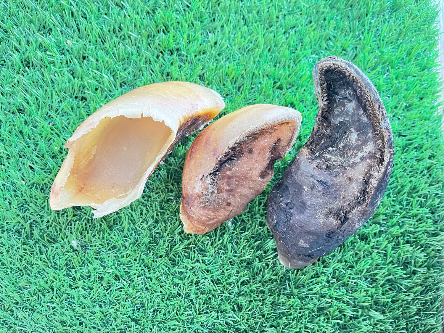 Beef Hooves Pack of 4