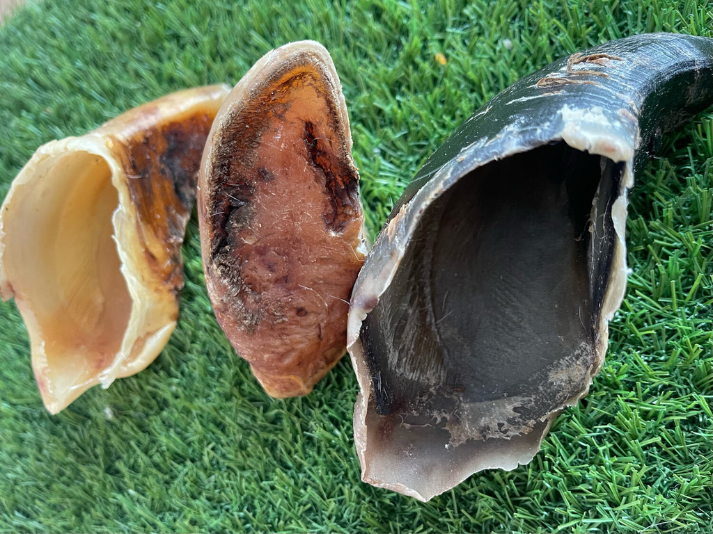 Beef Hooves Pack of 4