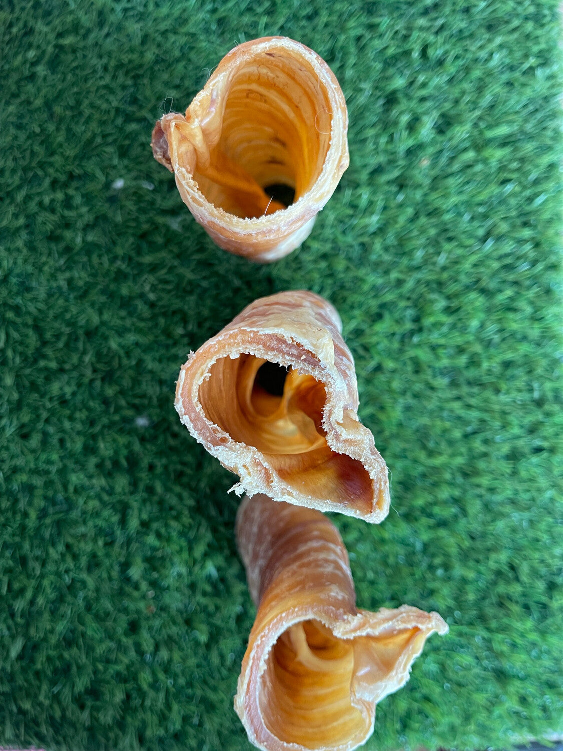 Beef Cut Trachea Set of 4