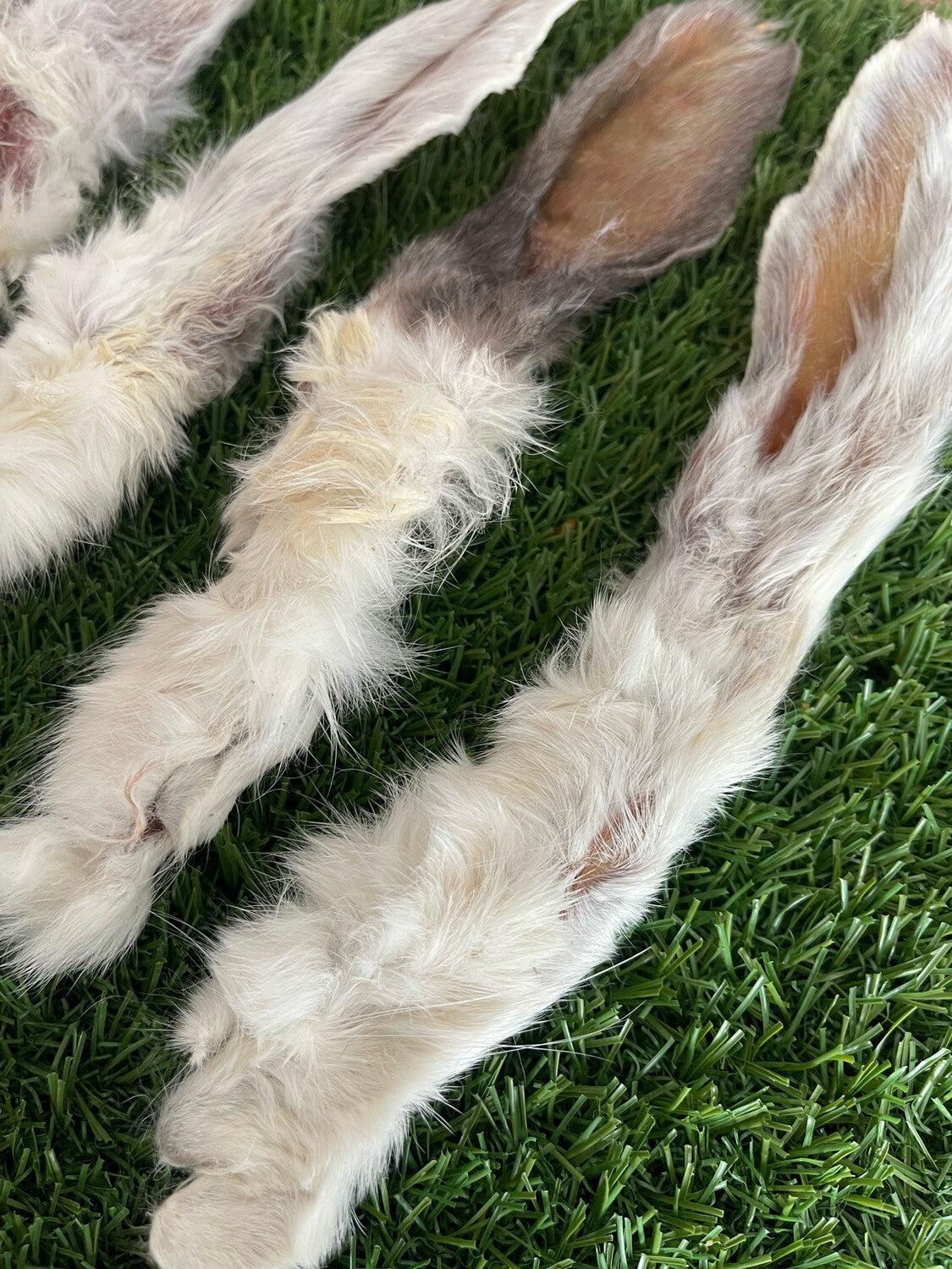 Hairy Rabbit Ears Pack of 6