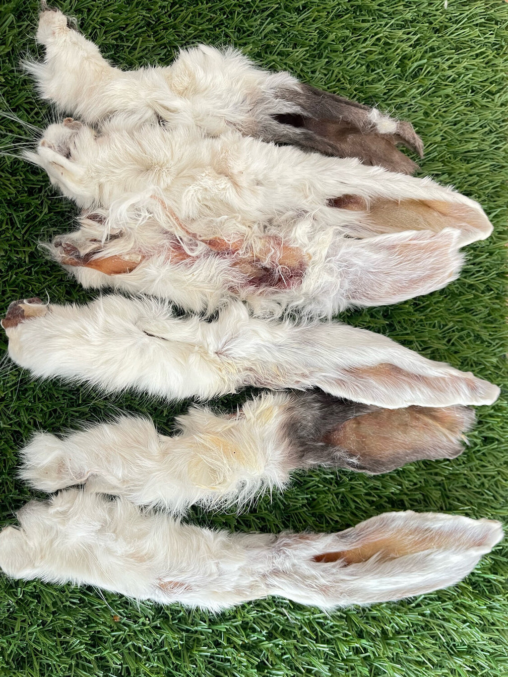 Hairy Rabbit Ears Pack of 6