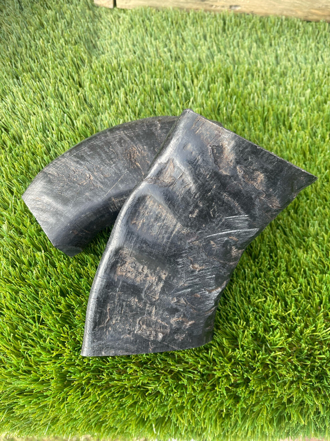 Buffalo Horn - Solid