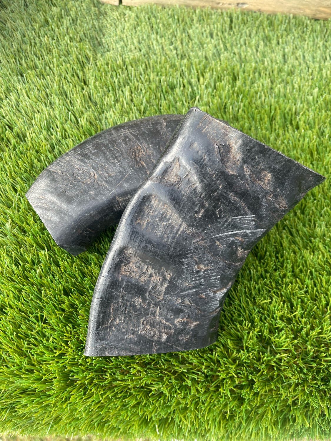 Buffalo Horn - Solid