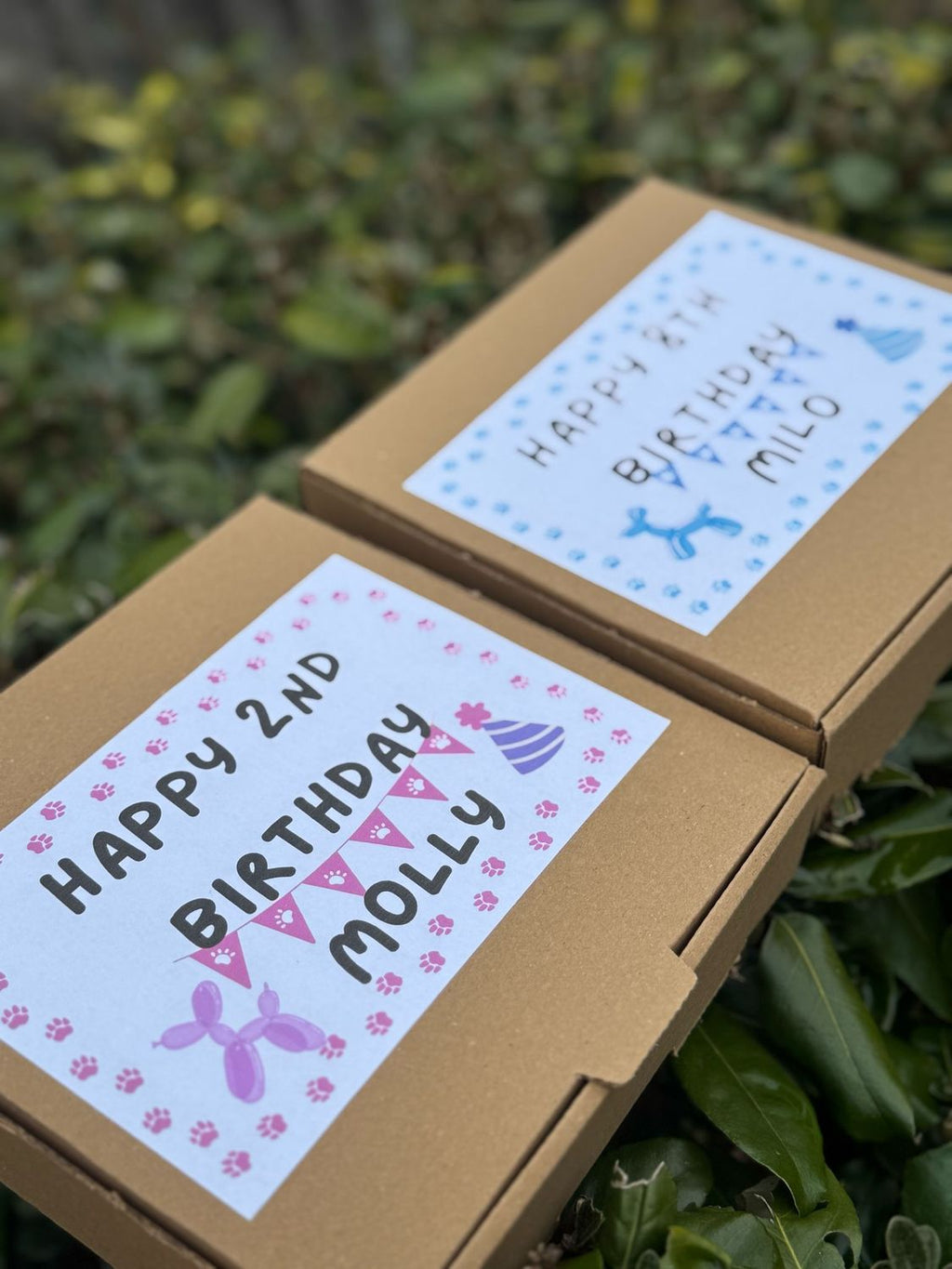Personalised Birthday Treat Box