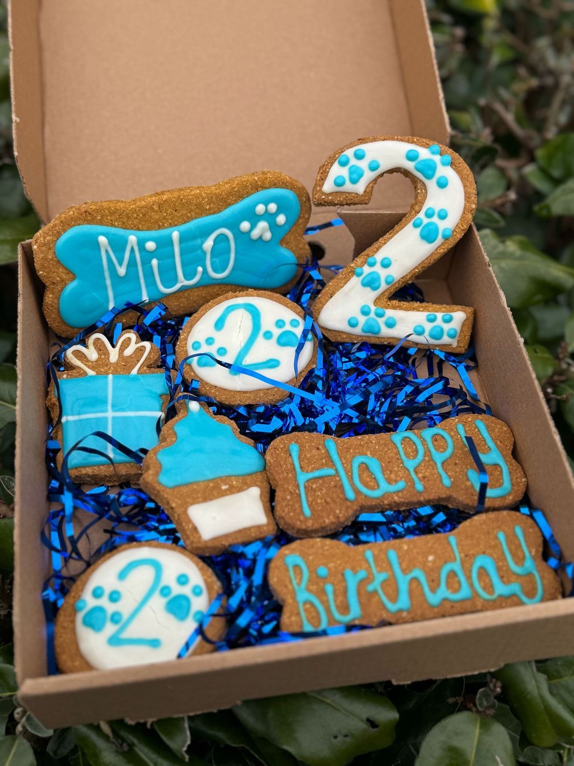 Dog Personalised Birthday Treat Box – J&B's Barkery