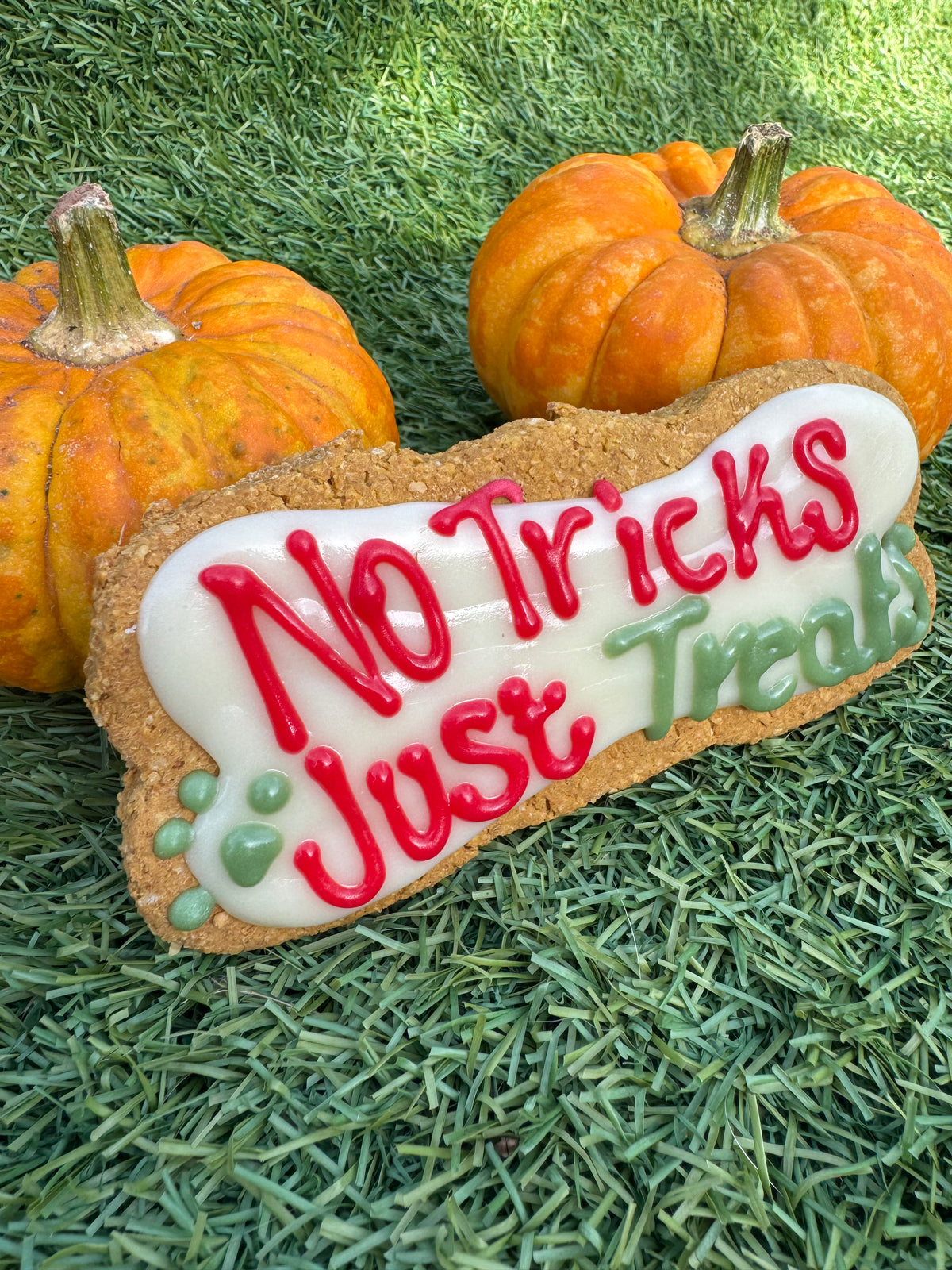 No Tricks Just Treats Iced Bone - Halloween Collection