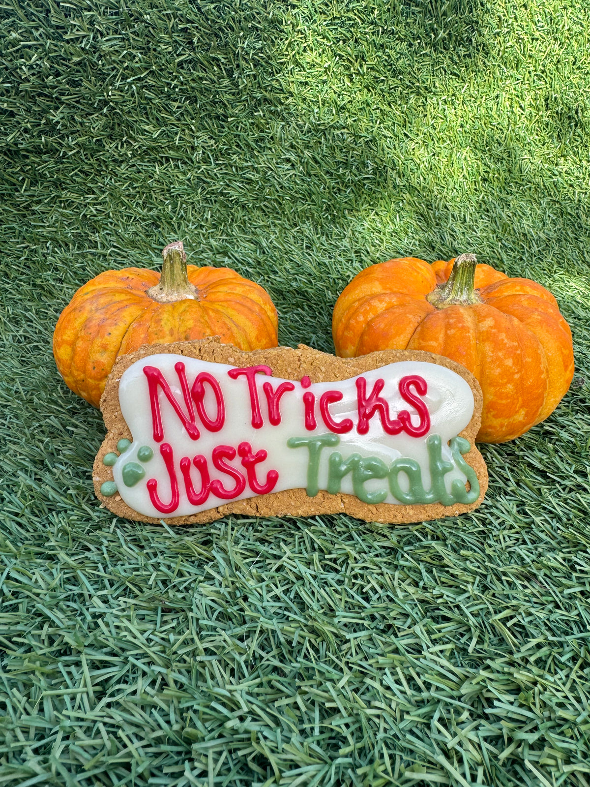 No Tricks Just Treats Iced Bone - Halloween Collection
