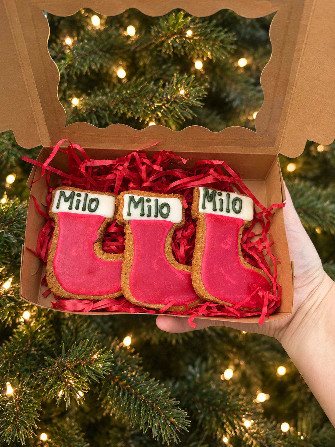 Christmas Collection | Personalised Iced Stockings
