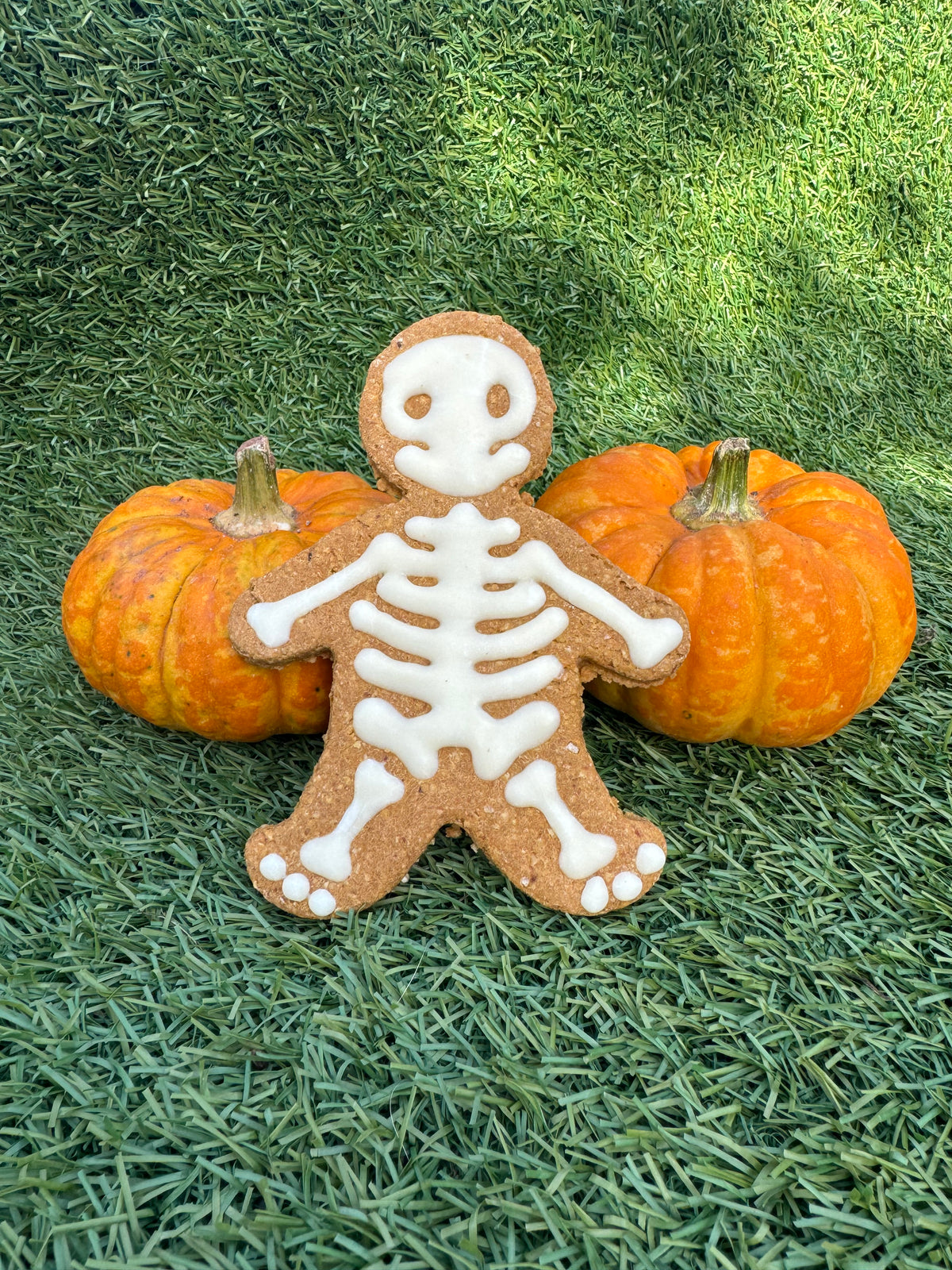 Skeleton Man - Halloween Collection