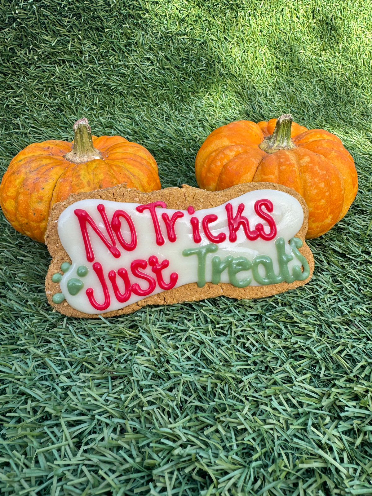 No Tricks Just Treats Iced Bone - Halloween Collection