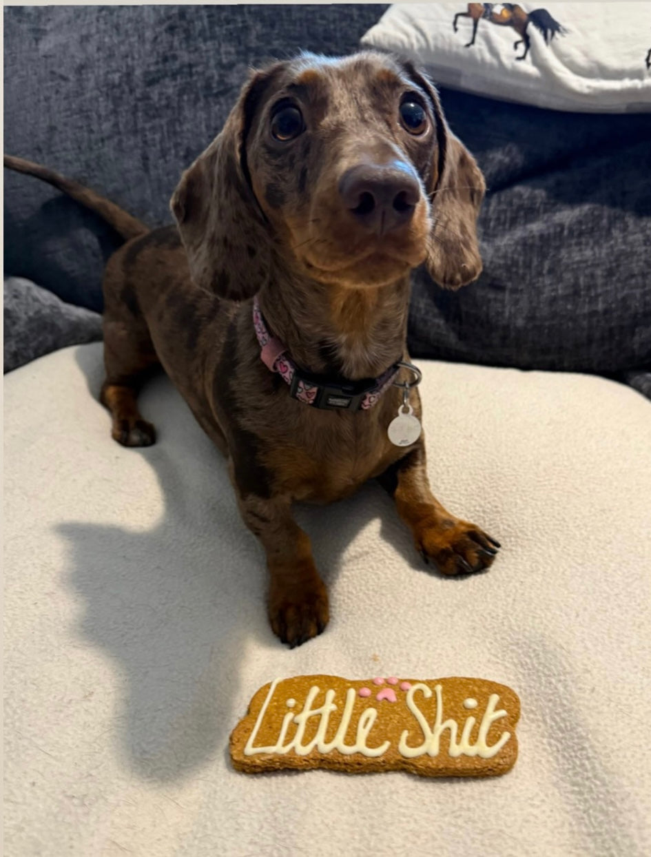 Little Sh*t Bone Shaped Treat