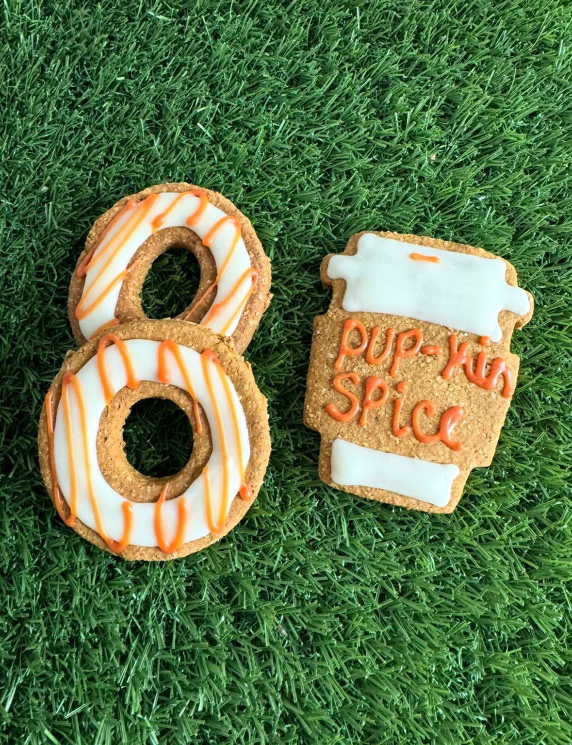 Pup-kin Spice Iced Coffee Dog Treat Set | Limited Edition