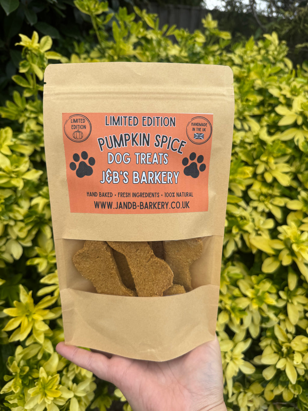 Limited Edition Pumpkin Spice Treats | Dog Treats