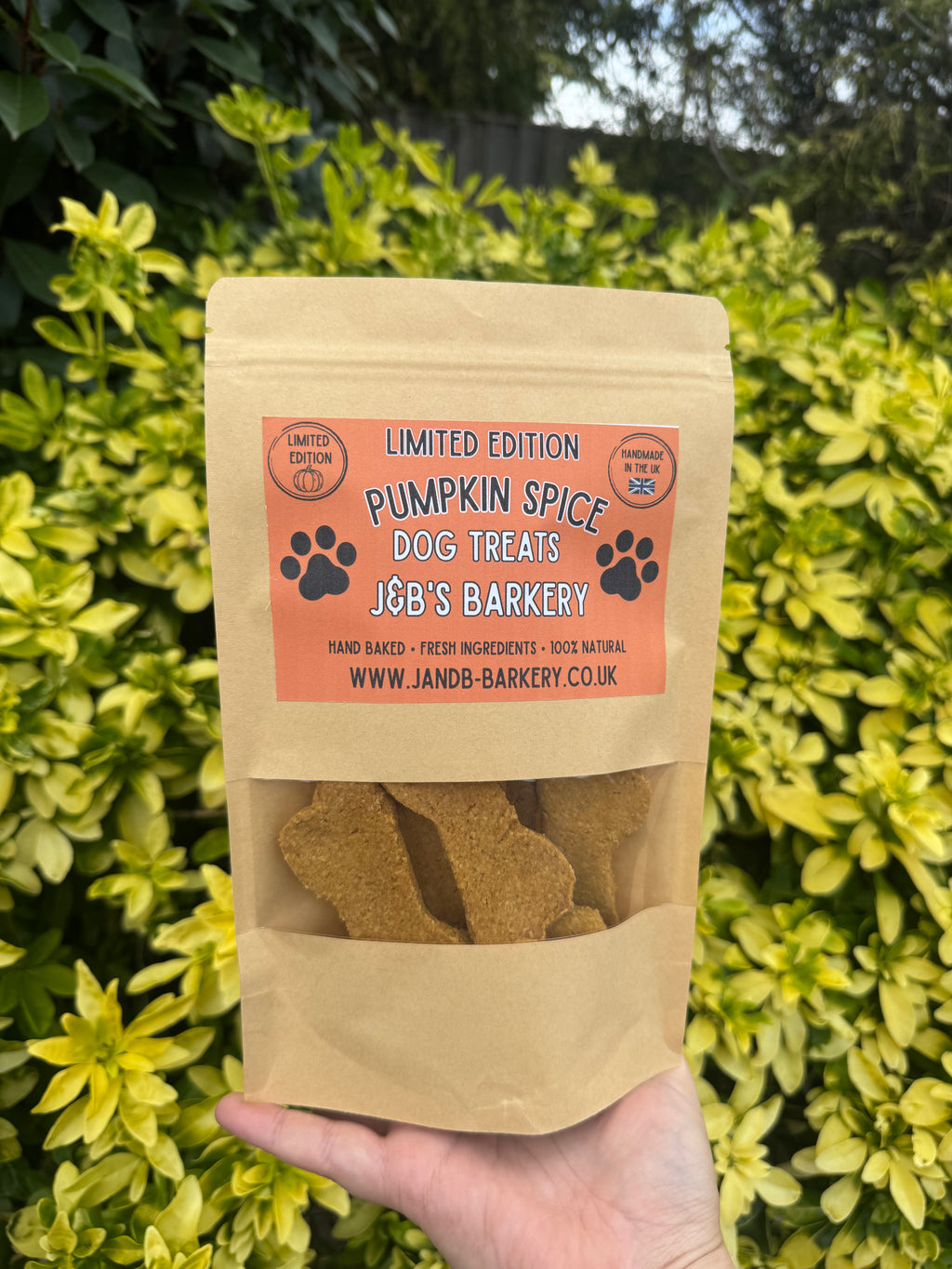 Limited Edition Pumpkin Spice Treats | Dog Treats