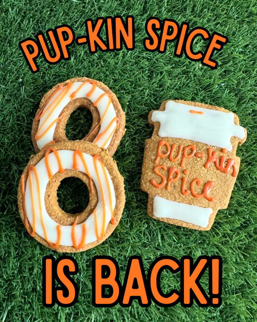 Pup-kin Spice Iced Coffee Dog Treat Set | Limited Edition