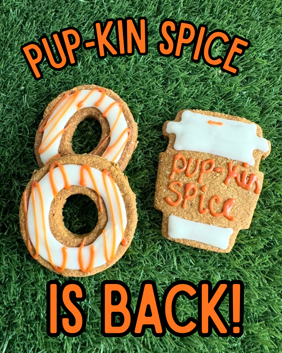 Pup-kin Spice Iced Coffee Dog Treat Set | Limited Edition