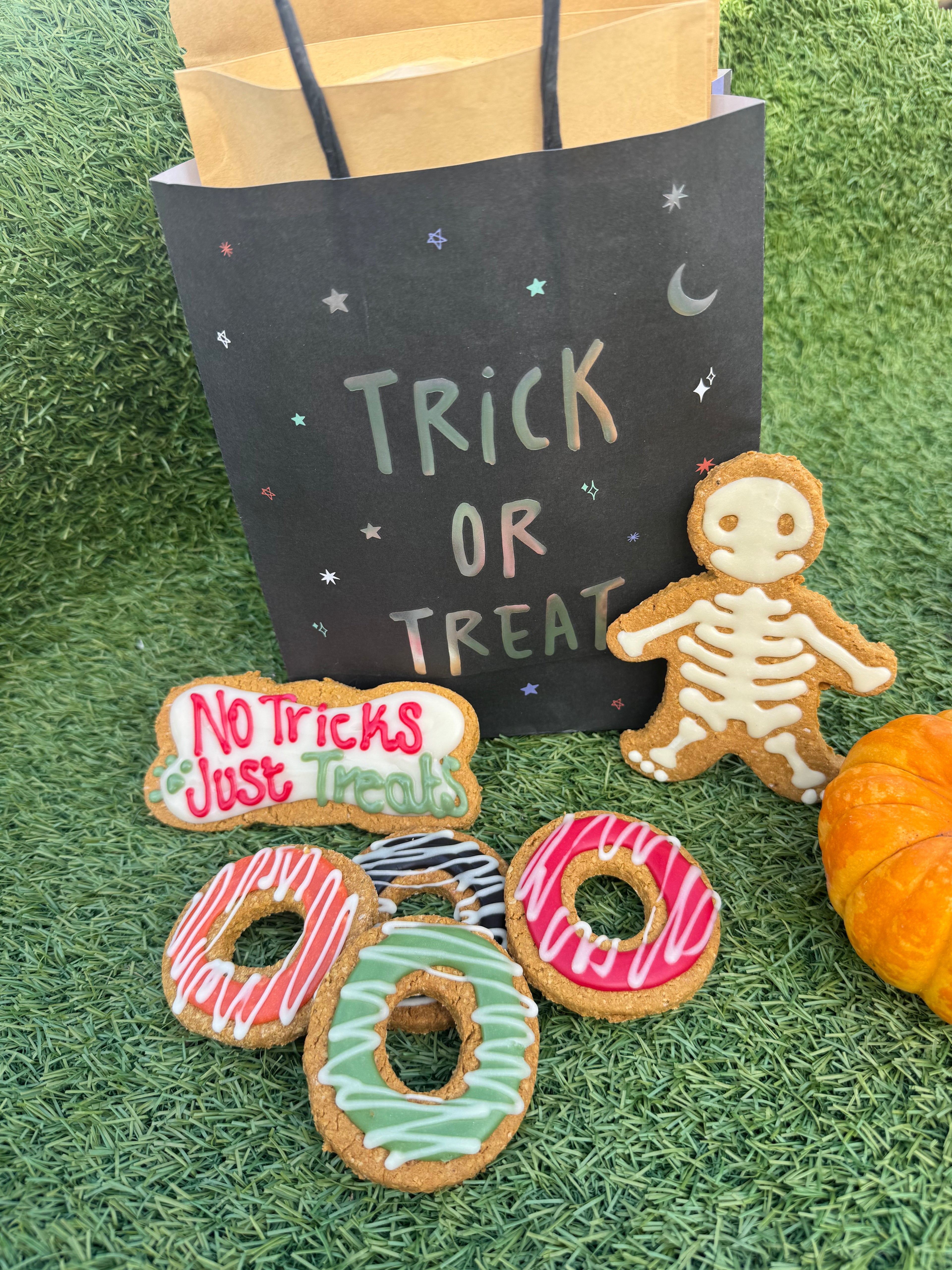 Halloween Bundle Deal  - Halloween Collection