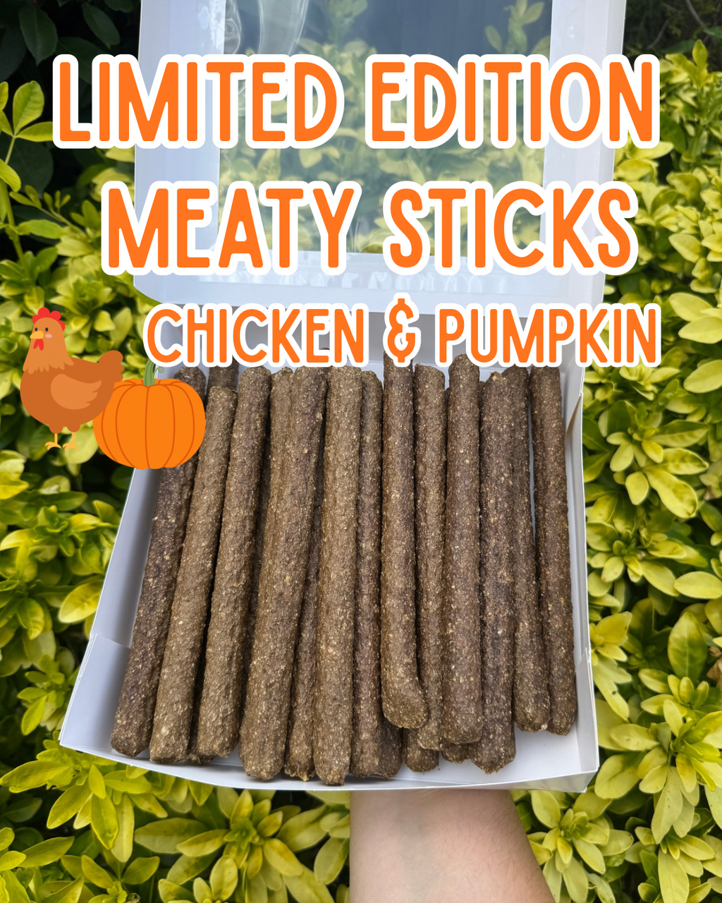 Mighty Meaty Stick Box | Limited edition Pumpkin & Chicken