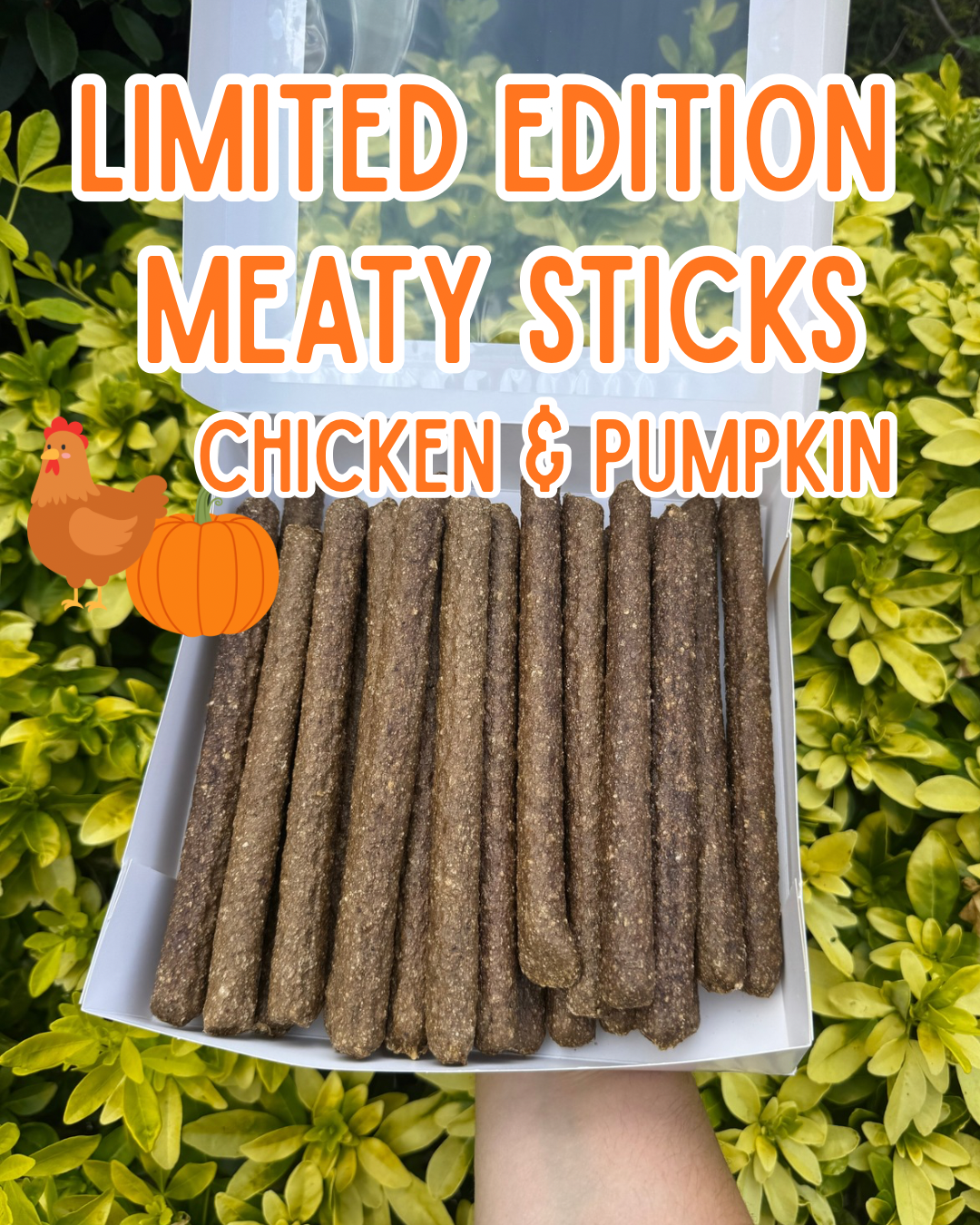 Mighty Meaty Stick Box | Limited edition Pumpkin & Chicken