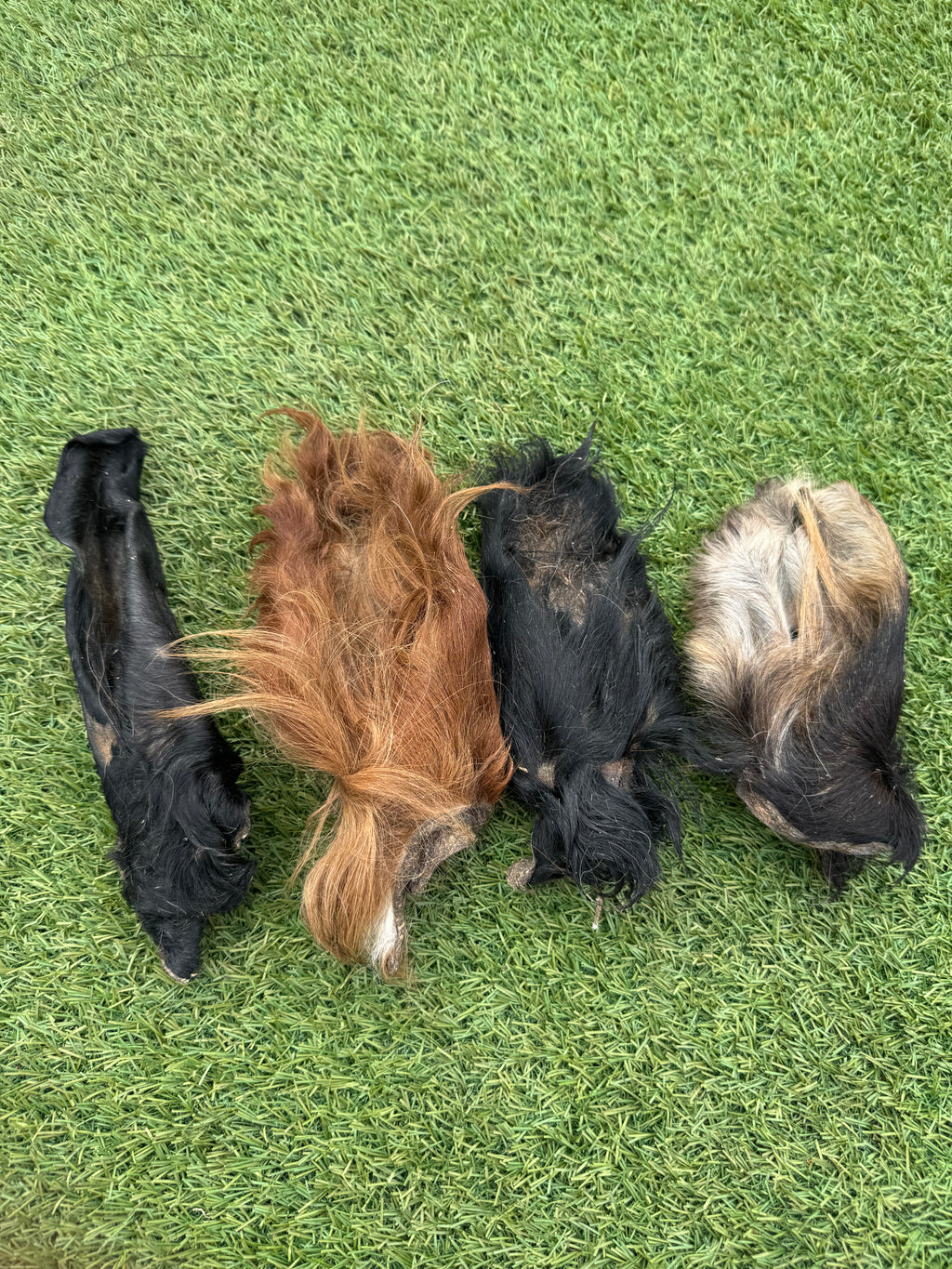 NEW* Hairy Cows Ears (4pieces)