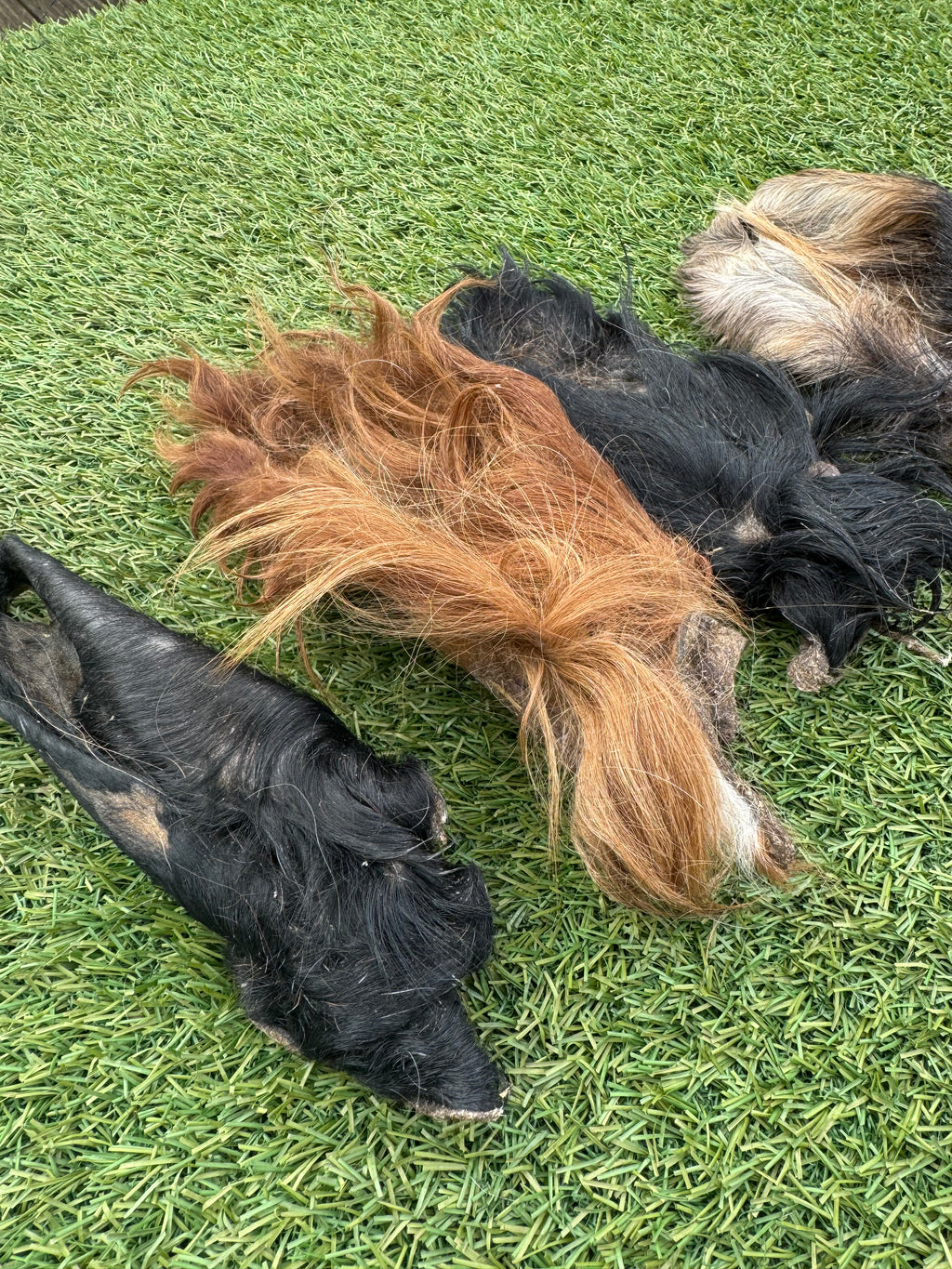 NEW* Hairy Cows Ears (4pieces)