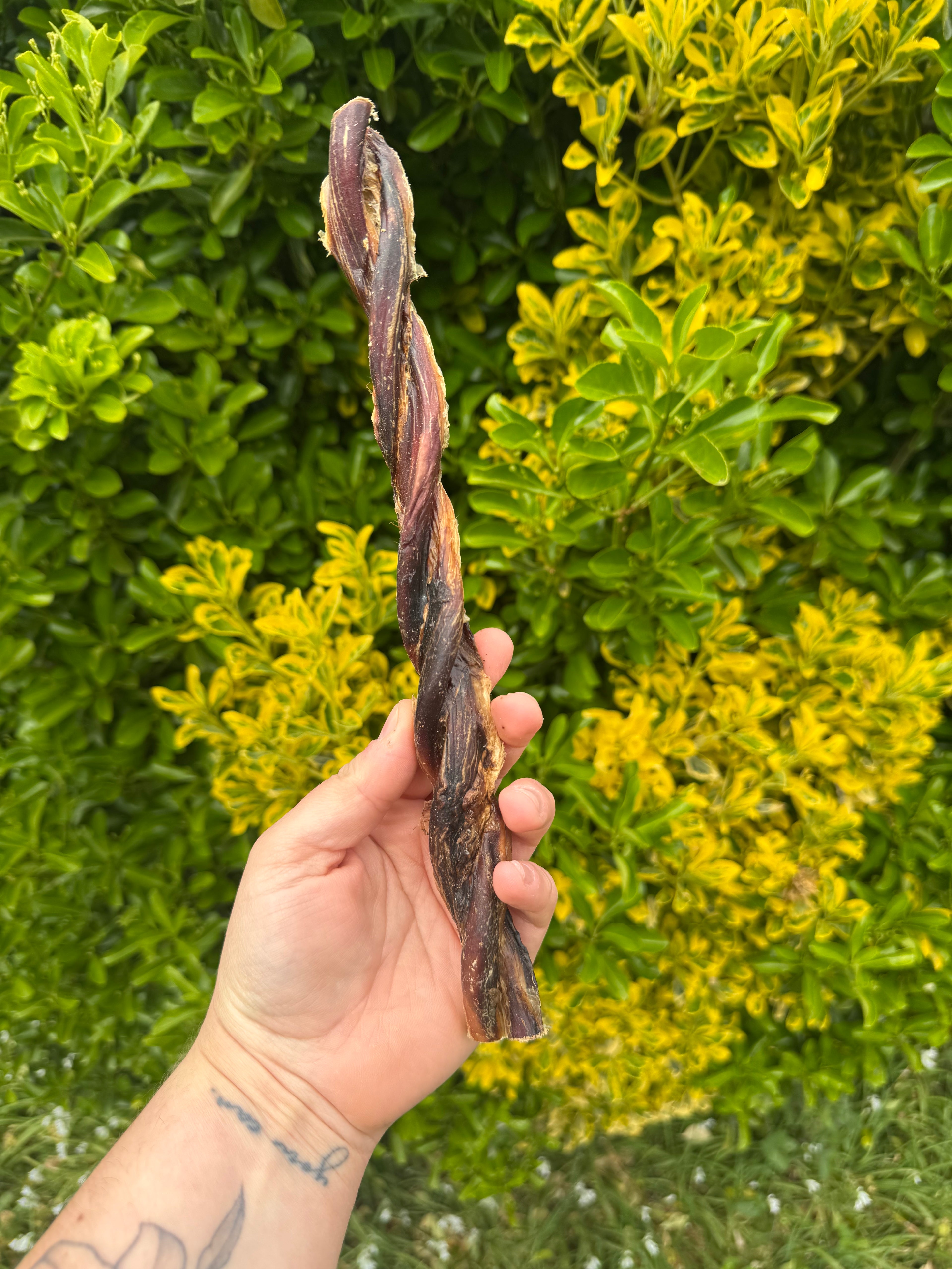 NEW* British Bull Twisted Pizzle