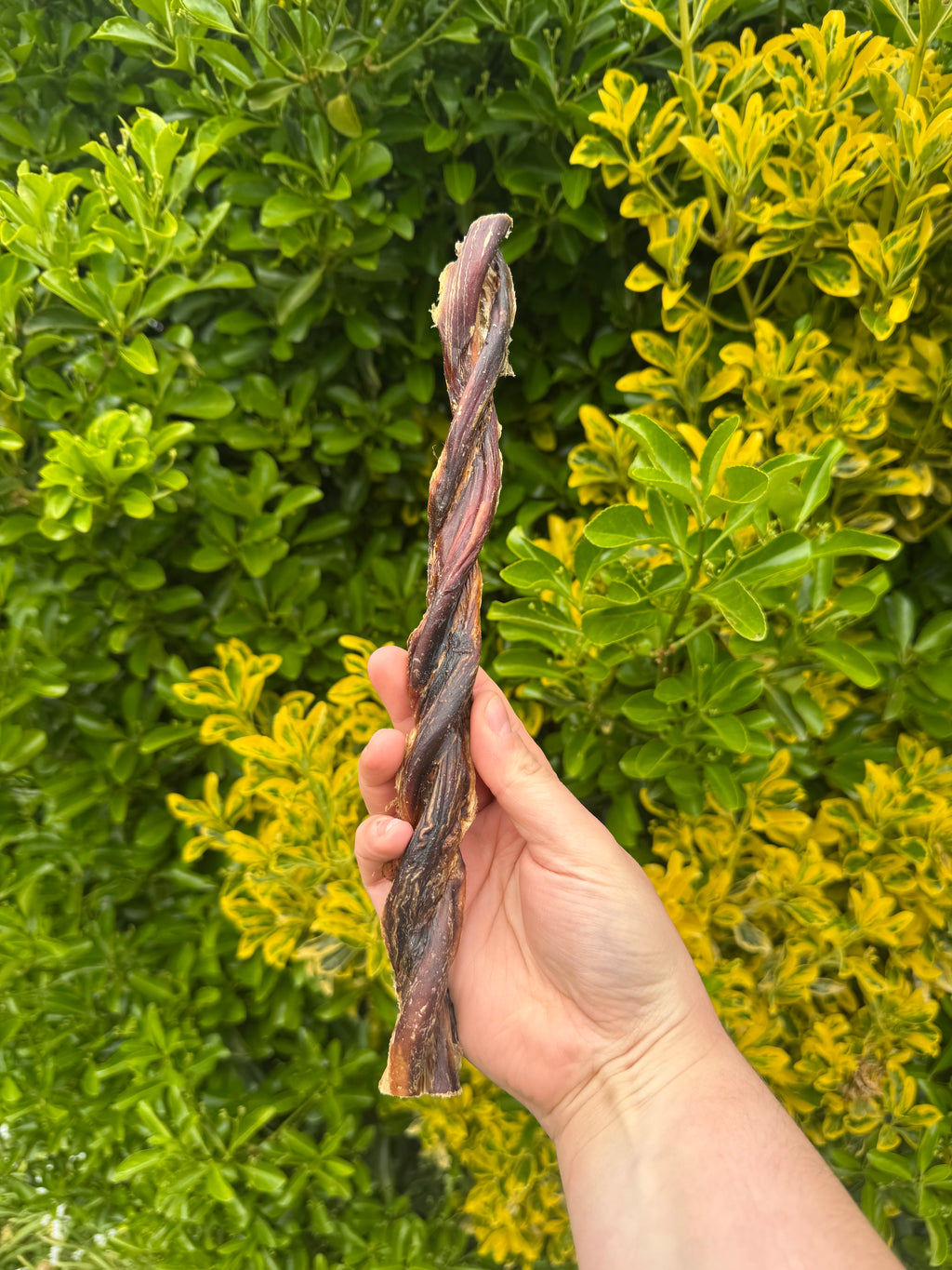 NEW* British Bull Twisted Pizzle