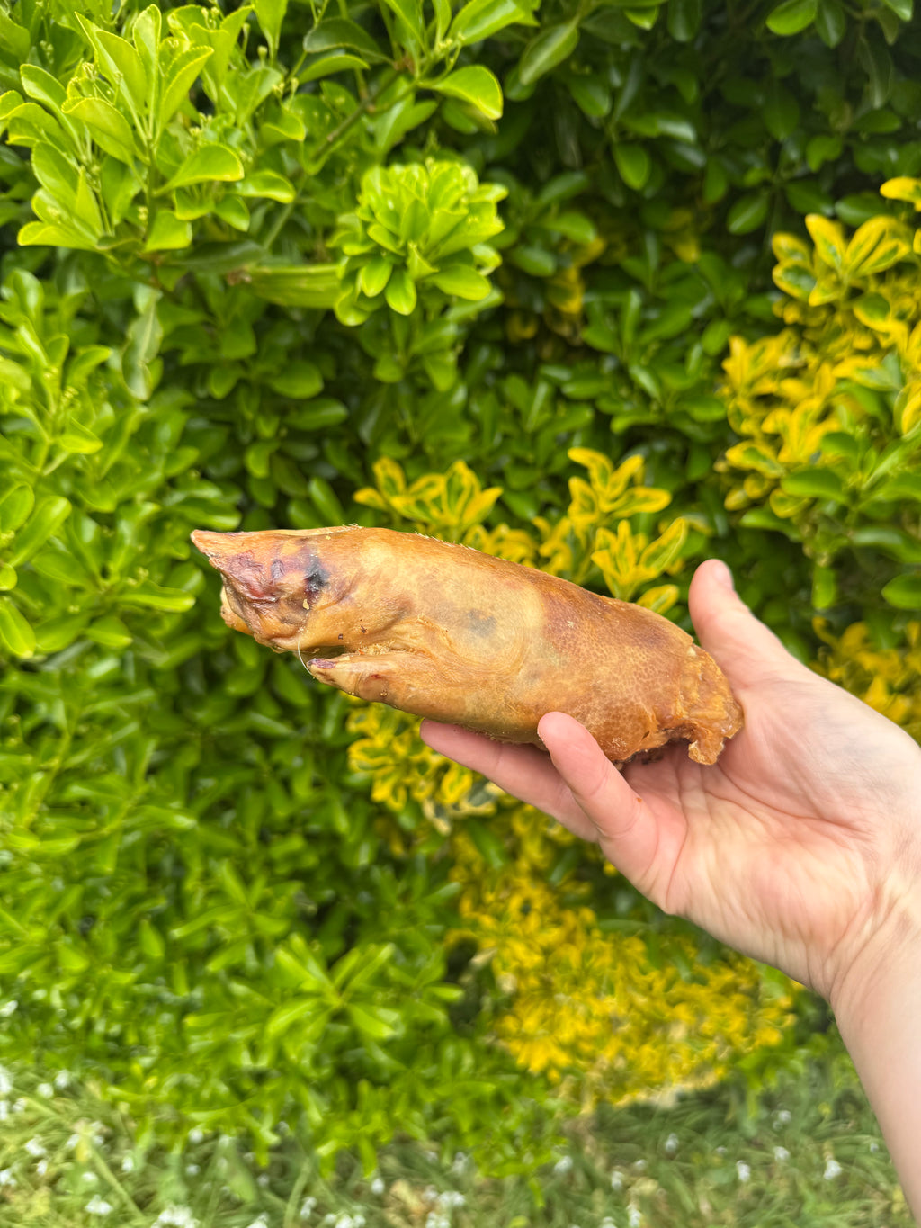 NEW* Pig Trotters