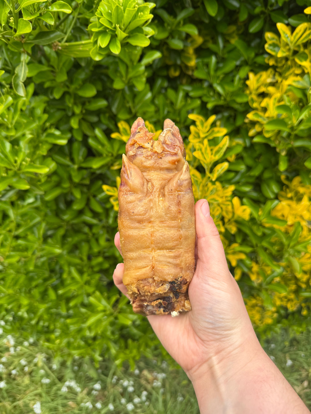 NEW* Pig Trotters