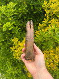 NEW* Wild Boar Trotters