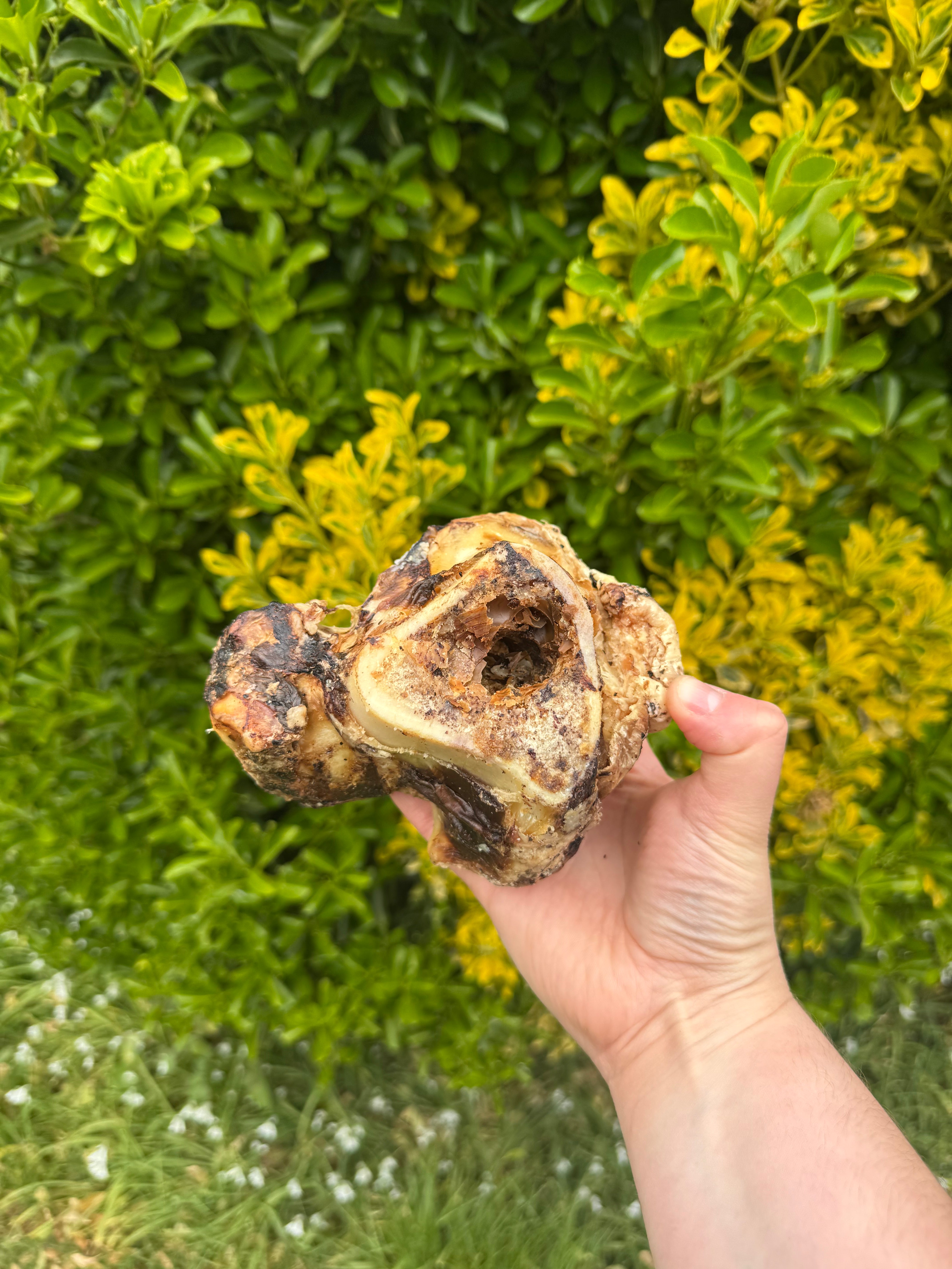 NEW* Beef Knuckles - British – J&B's Barkery