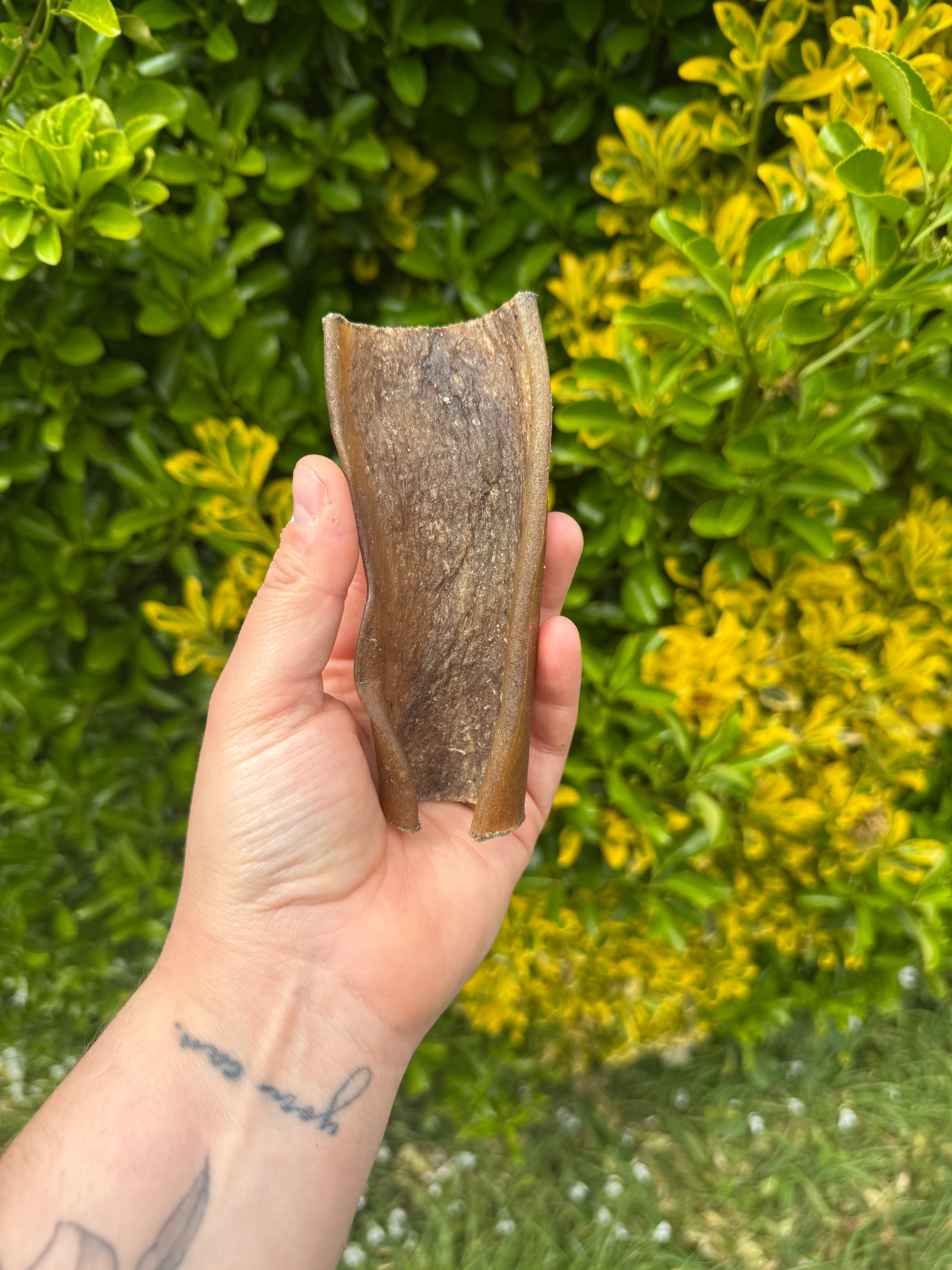 NEW* Camel Skin pieces (4pieces)