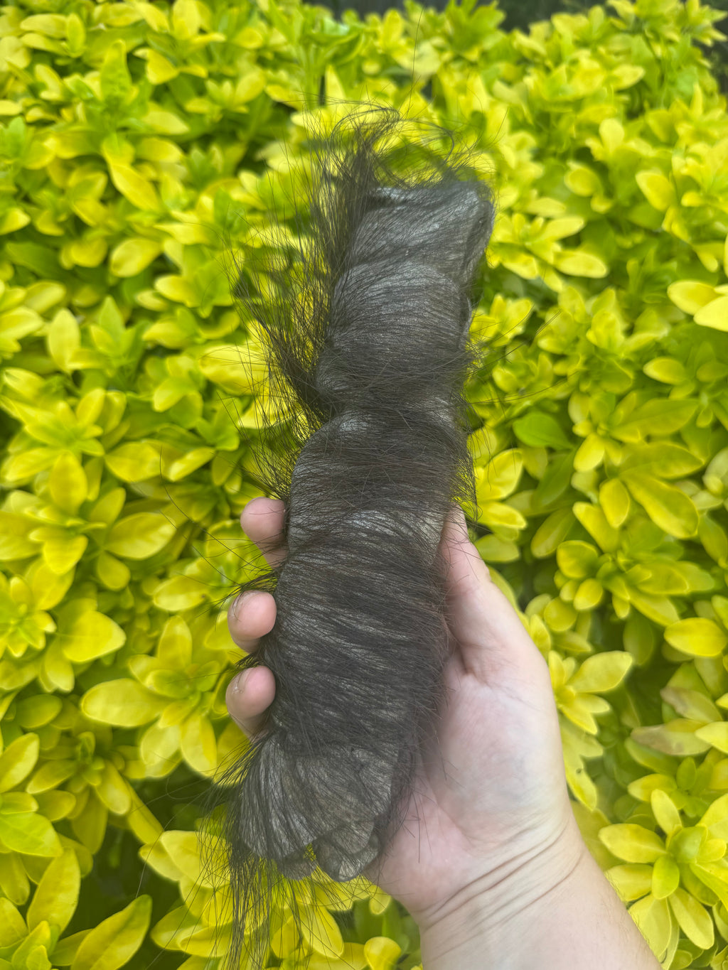 *New* Hairy Buffalo Roll
