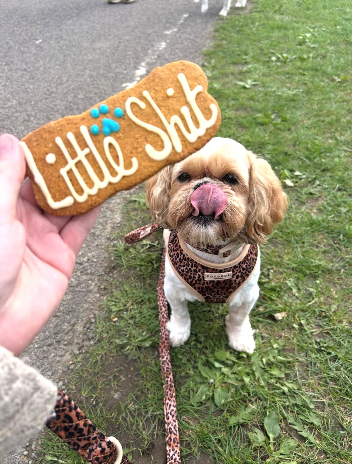 Little Sh*t Bone Shaped Treat